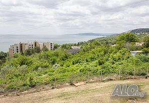 image_19
