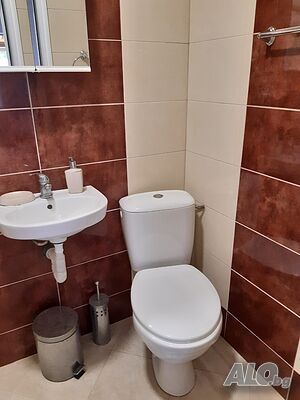 image_11