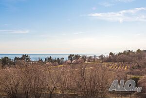 image_20