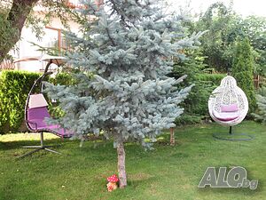 image_29