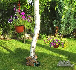 image_44