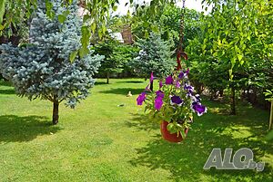 image_52