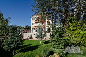 image_29
