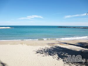image_22