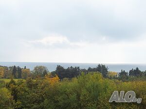 image_28