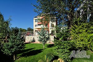 image_35