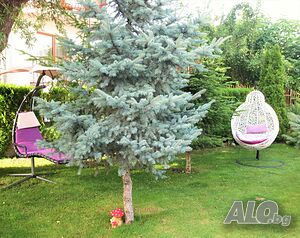 image_39