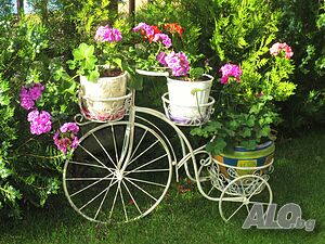 image_40