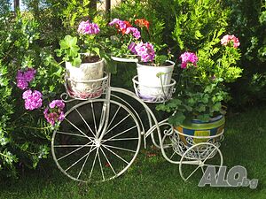 image_51