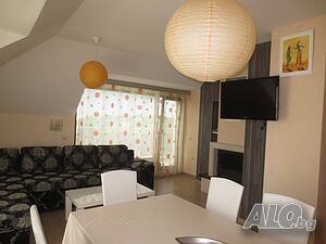 image_55