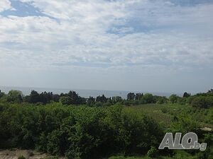 image_13