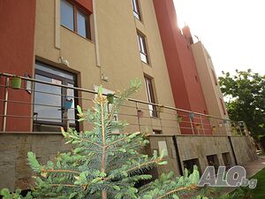 image_38