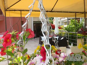 image_41