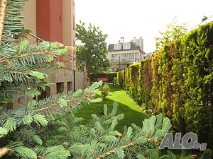 image_42