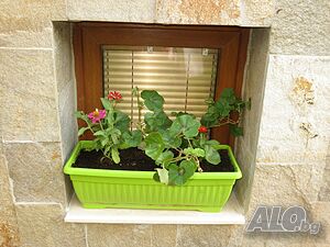 image_43