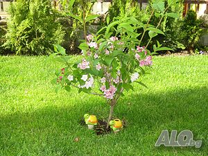 image_47
