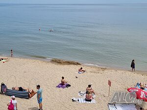 image_31