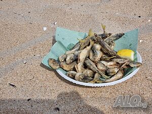 image_33