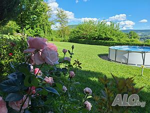 image_18