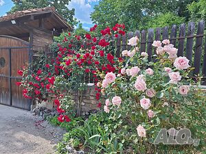 image_16
