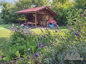 image_29
