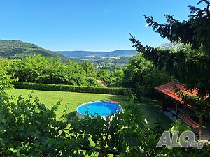 image_33
