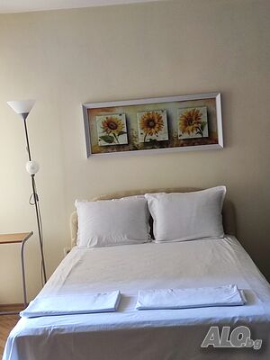 image_6