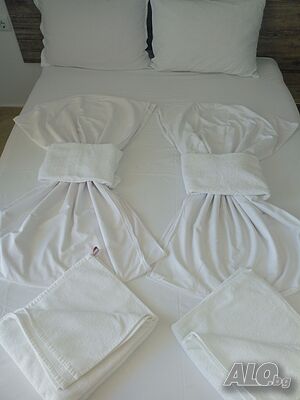 image_8