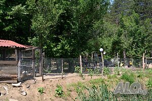 image_27