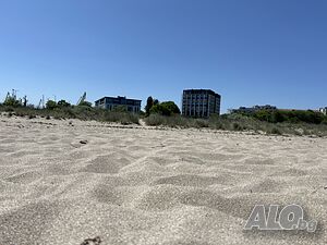 image_19