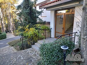 image_40