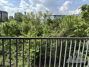 image_10
