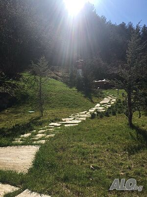 image_10