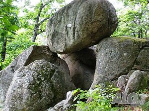 image_27