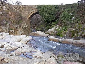 image_25