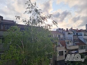 image_9