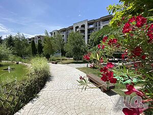 image_31
