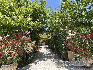 image_32
