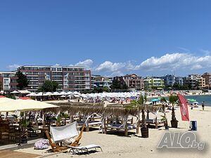 image_19
