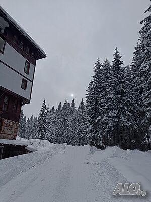 image_9