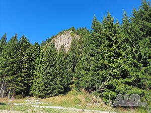 image_26