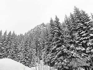 image_28