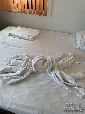 image_13