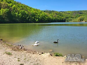 image_10