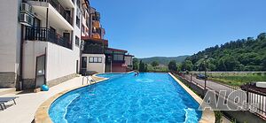 image_41