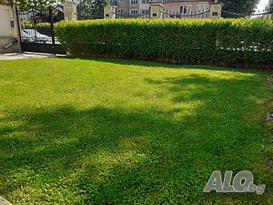 image_13
