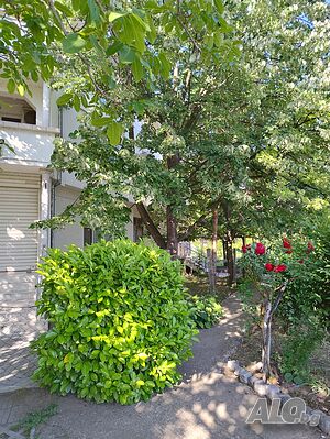 image_31