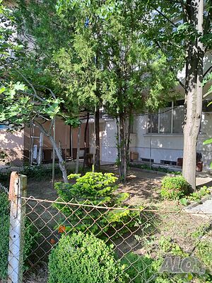 image_22