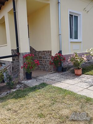 image_9