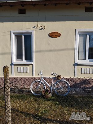image_11